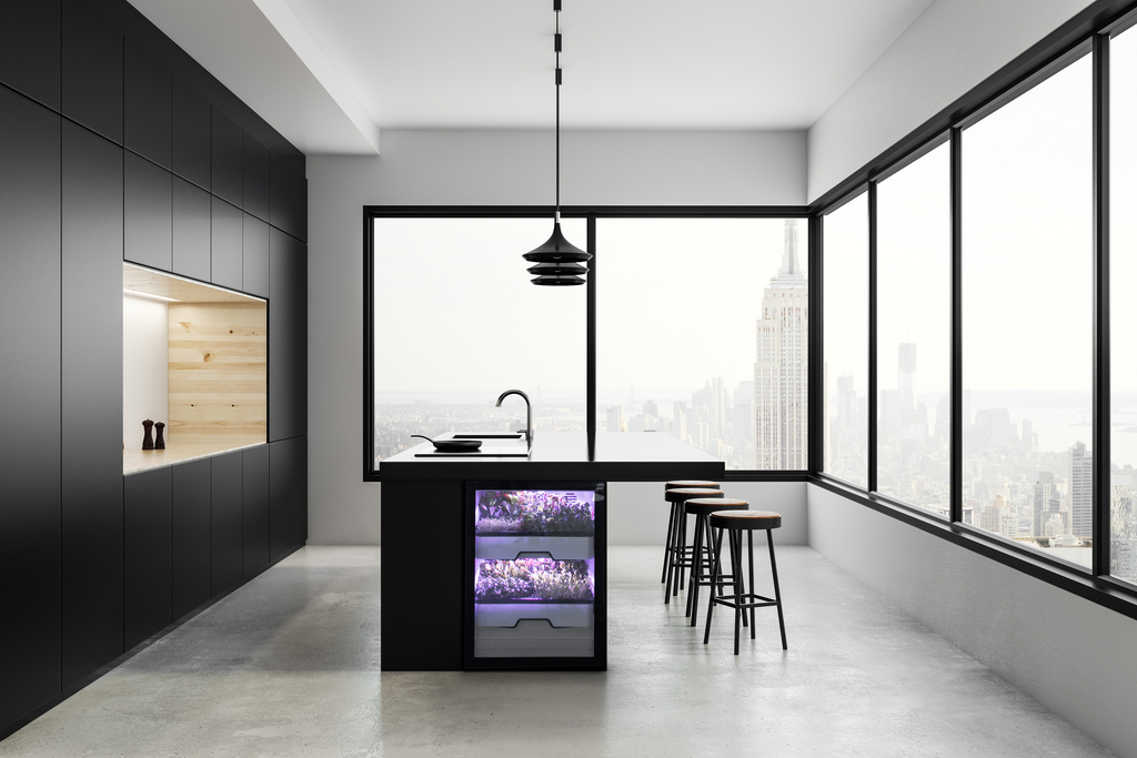 Indoor Farming (Foto: Agrilution)