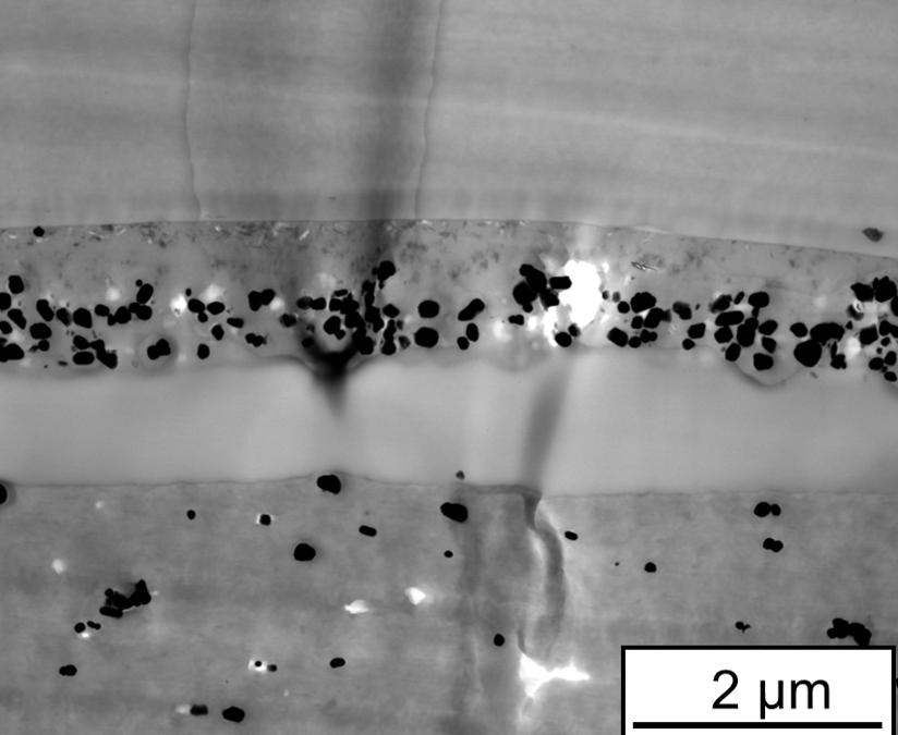 Biopolymerbasierte Mehrlagenfolien für Lebensmittelverpackungen